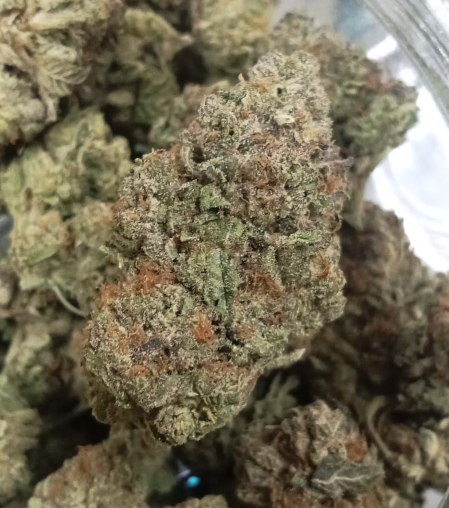 THC Flower available here